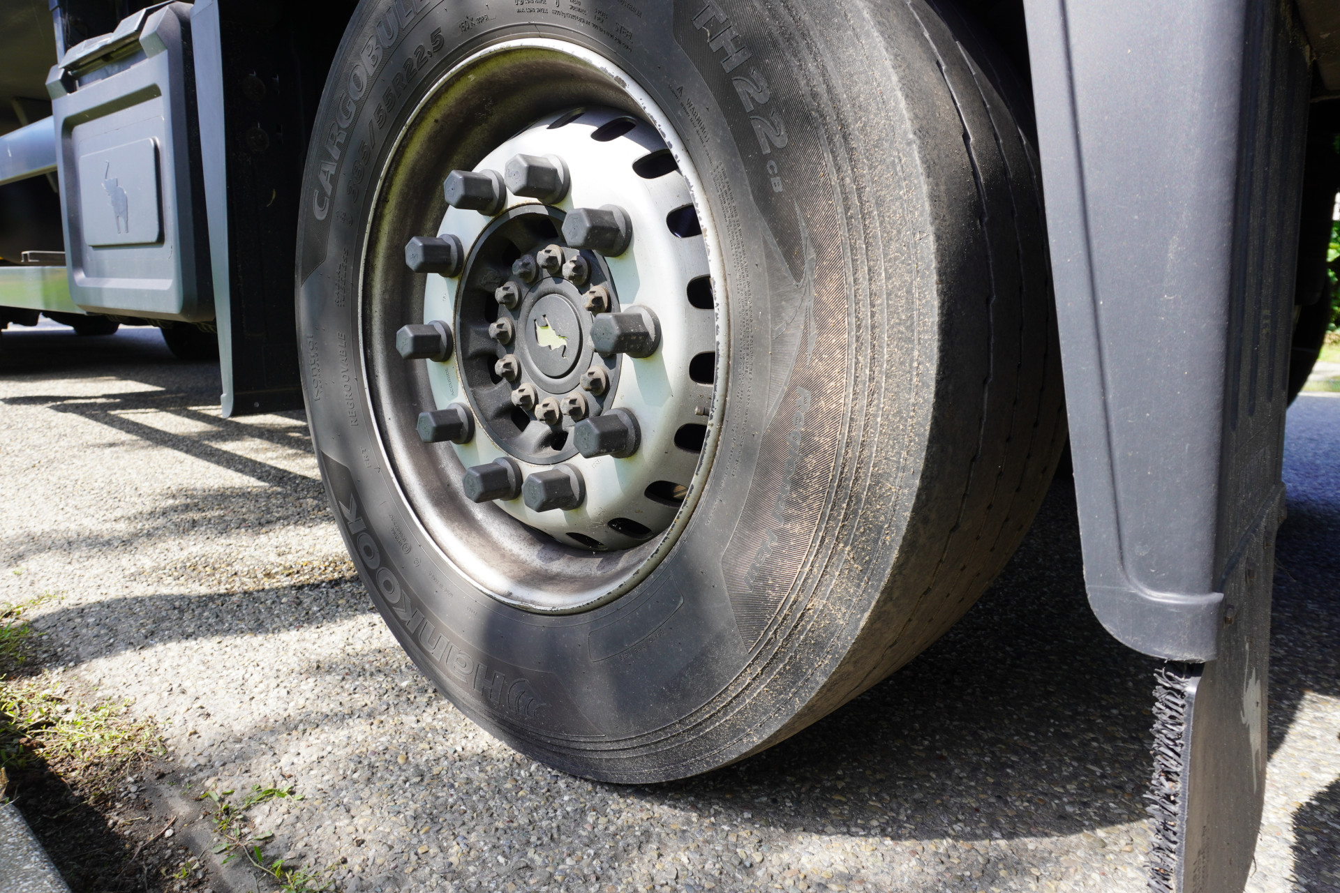 56363504 15