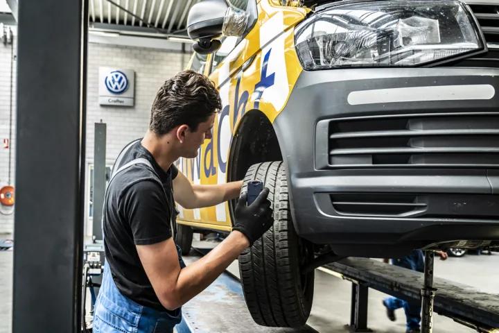 Eindhoven Kuppens 7971