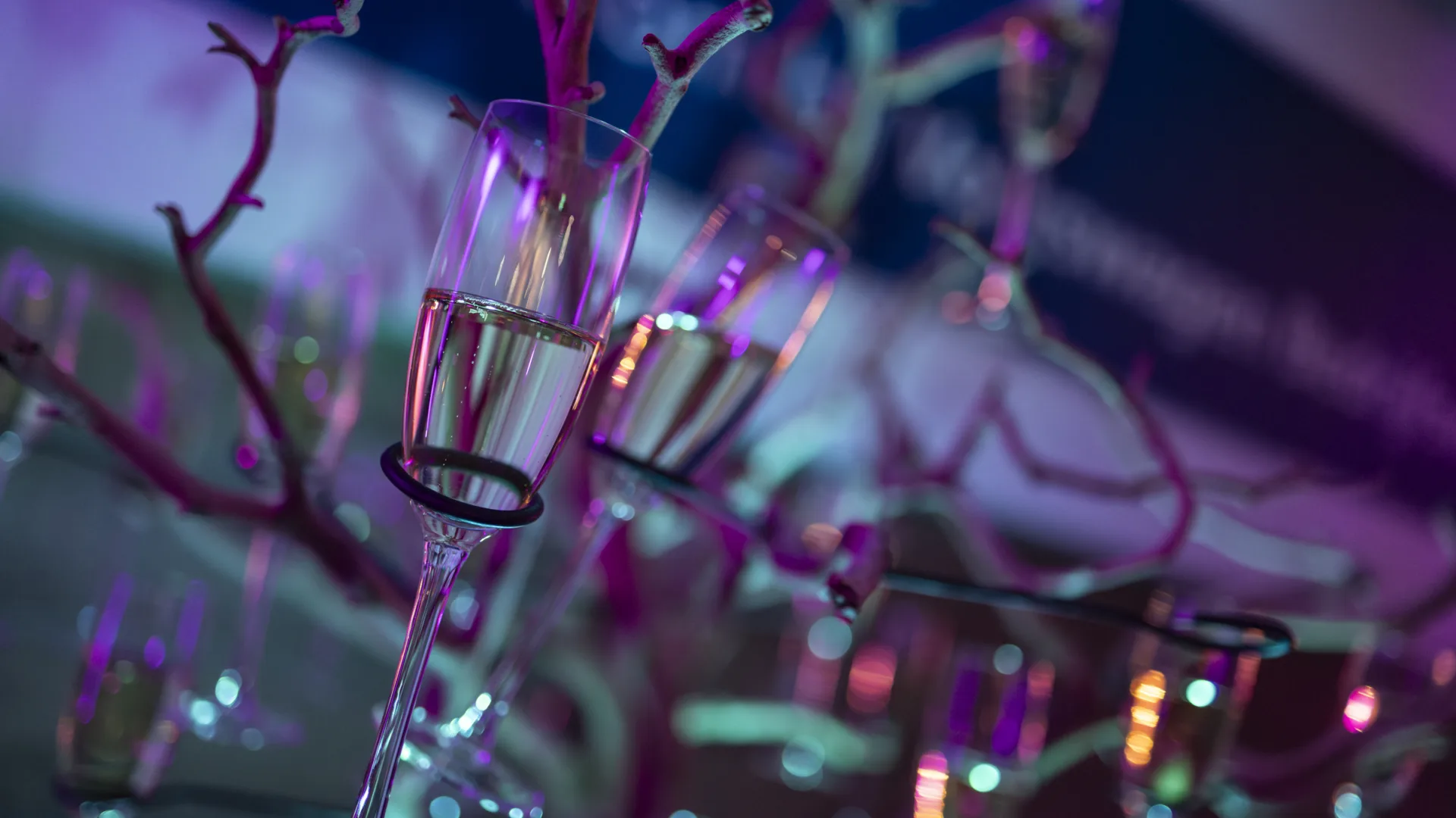 00004borrel